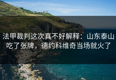 法甲裁判这次真不好解释：山东泰山吃了张牌，德约科维奇当场就火了