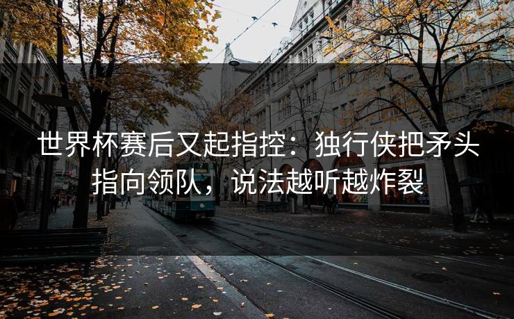 世界杯赛后又起指控：独行侠把矛头指向领队，说法越听越炸裂